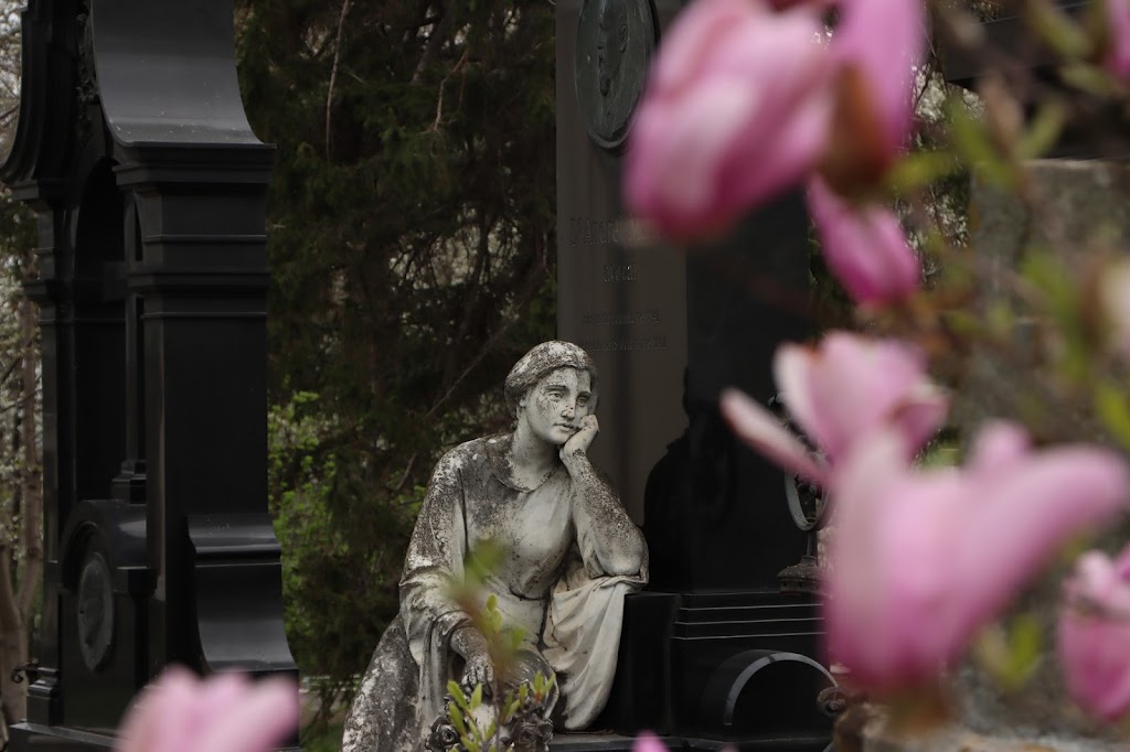 Armenian cemetery (Botoșani, Romania)